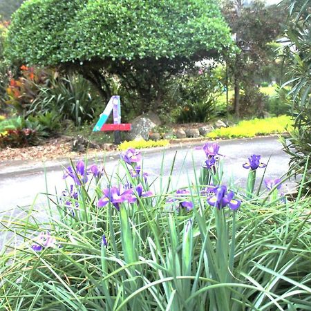 U Beauty - B & B Whangarei Buitenkant foto