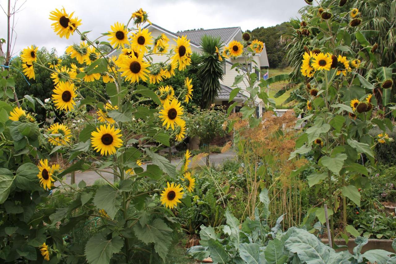 U Beauty - B & B Whangarei Buitenkant foto